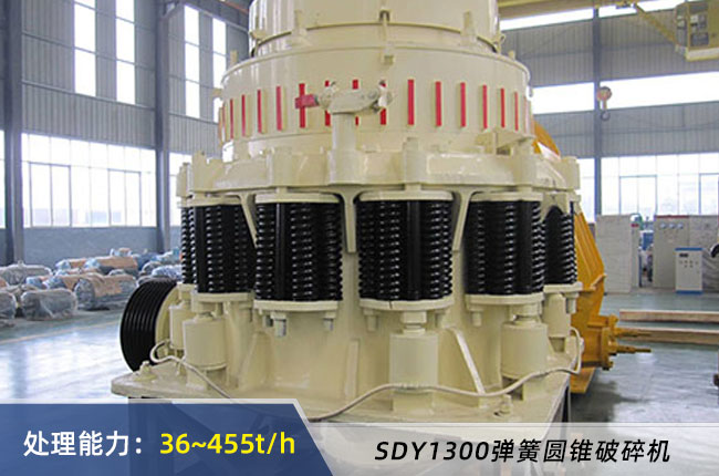 SDY1300B/D���ɈA�F����C(j��)