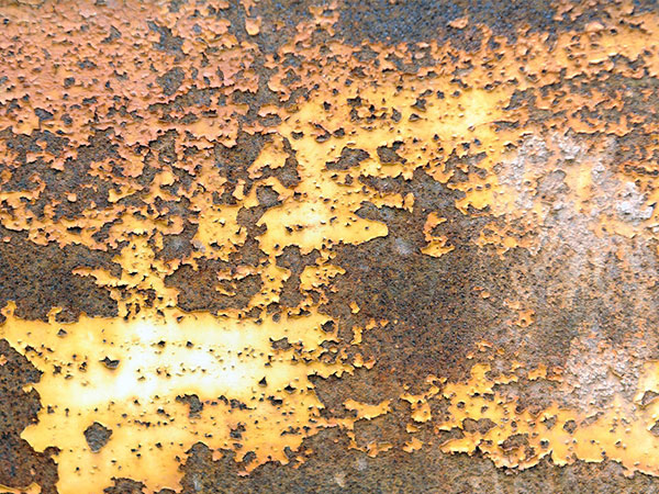 ��ɰ�C�P�g